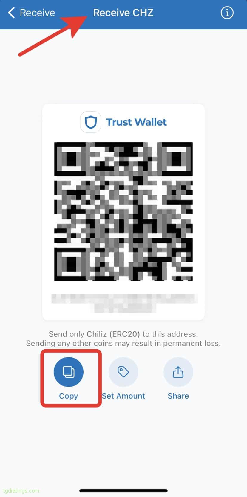 Address to receive CHZ